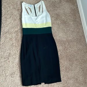 Narciso Rodriguez Silk Dress